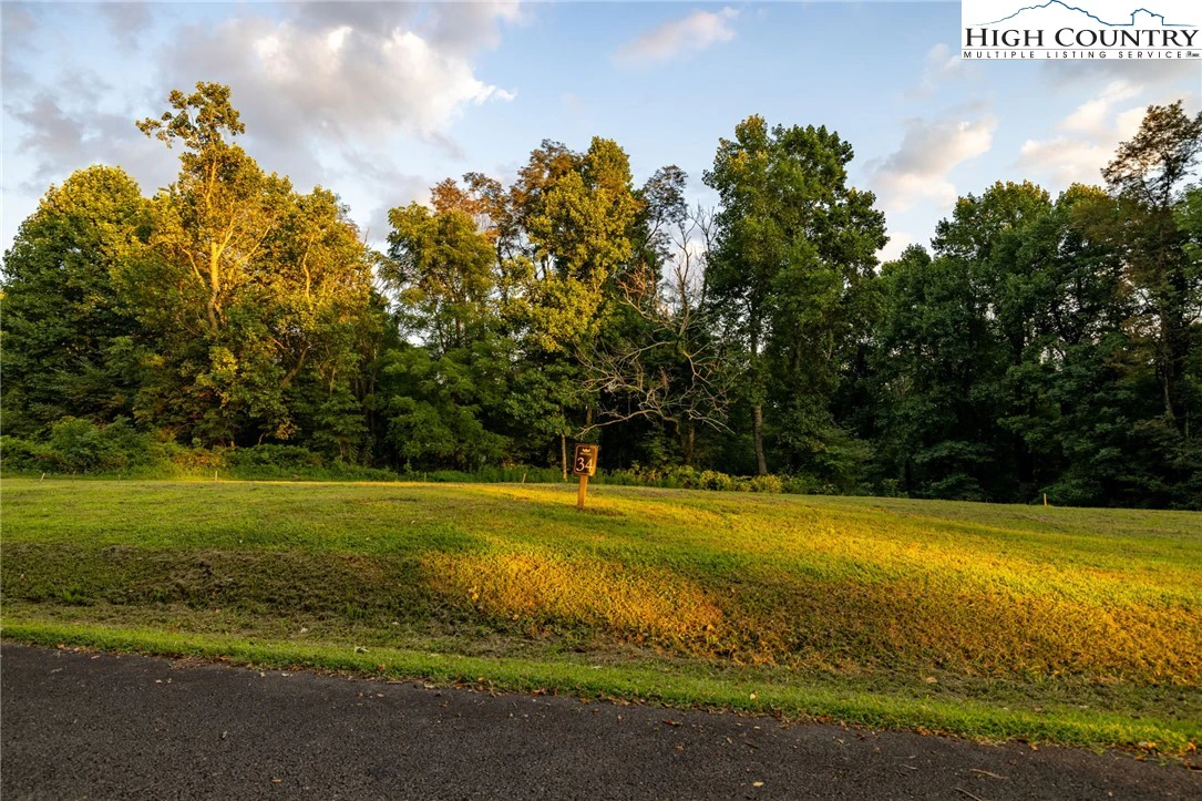 Image number 7 for the current listing