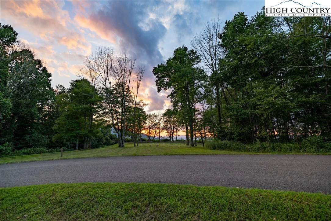 Image number 1 for the current listing