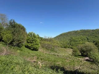 Image number 1 for the current listing