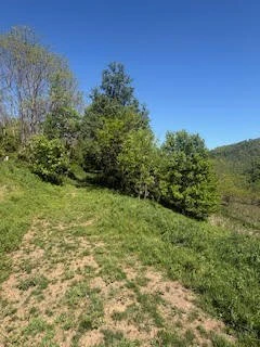 Image number 3 for the current listing