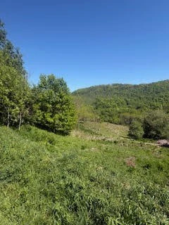 Image number 4 for the current listing
