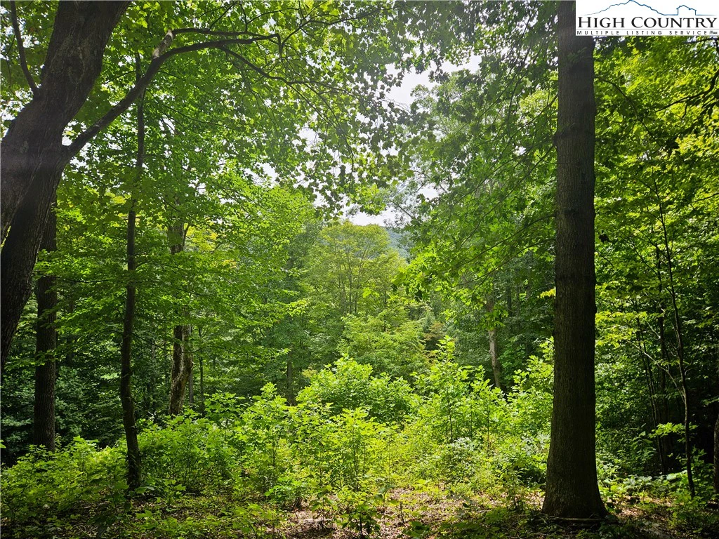 Image number 1 for the current listing