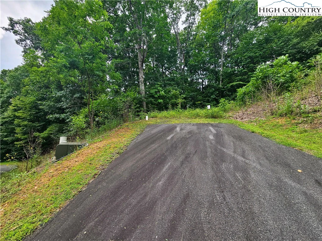 Image number 3 for the current listing