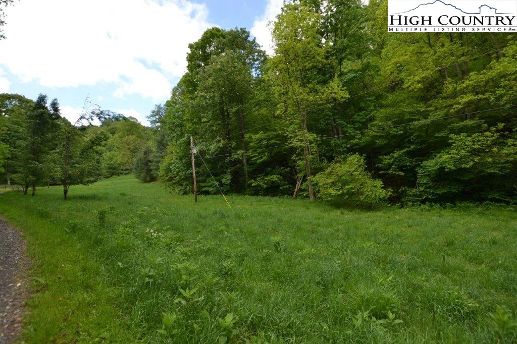 Image number 1 for the current listing