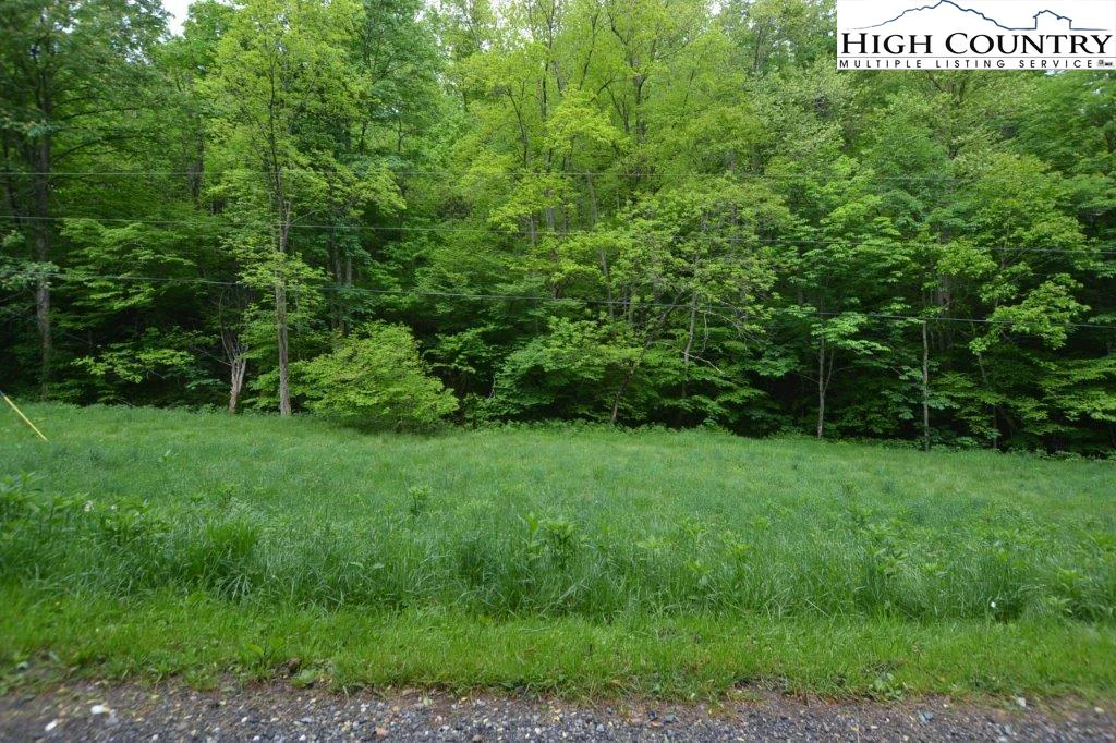Image number 3 for the current listing