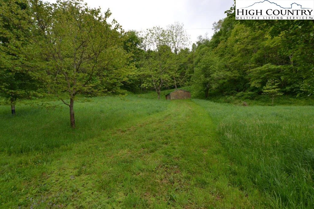 Image number 4 for the current listing