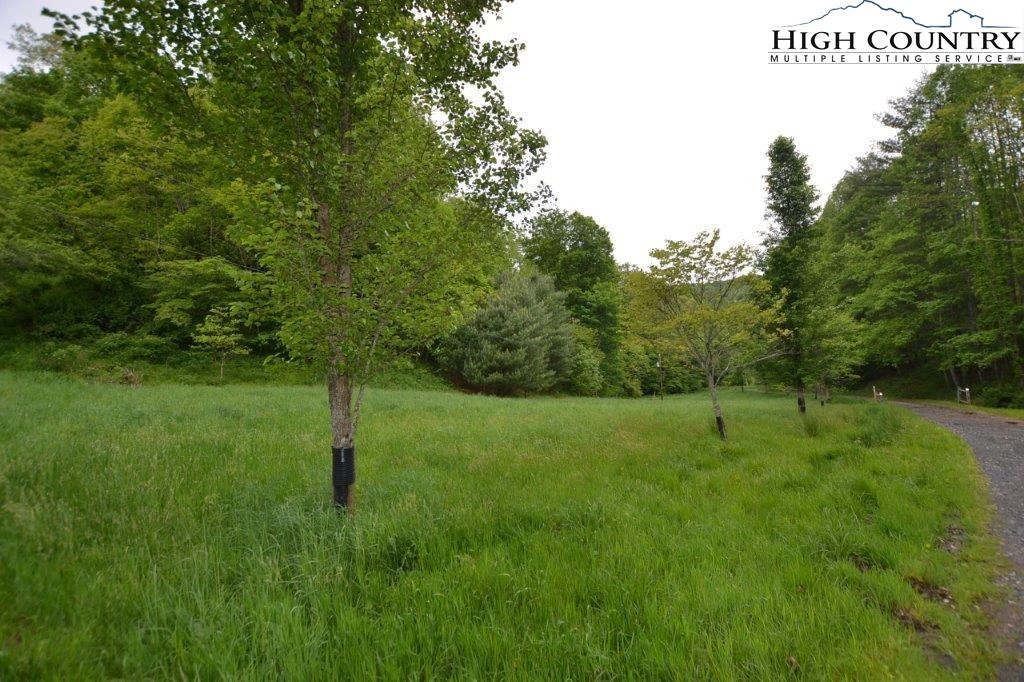Image number 6 for the current listing