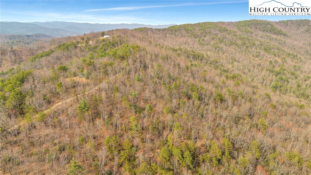 Image number 5 for the current listing