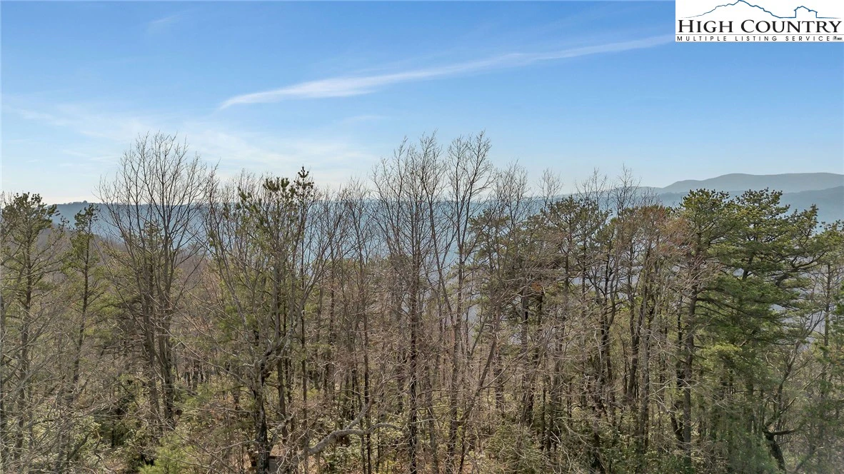 Image number 20 for the current listing