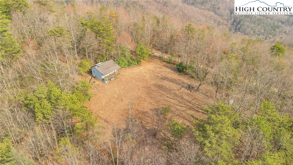 Image number 12 for the current listing