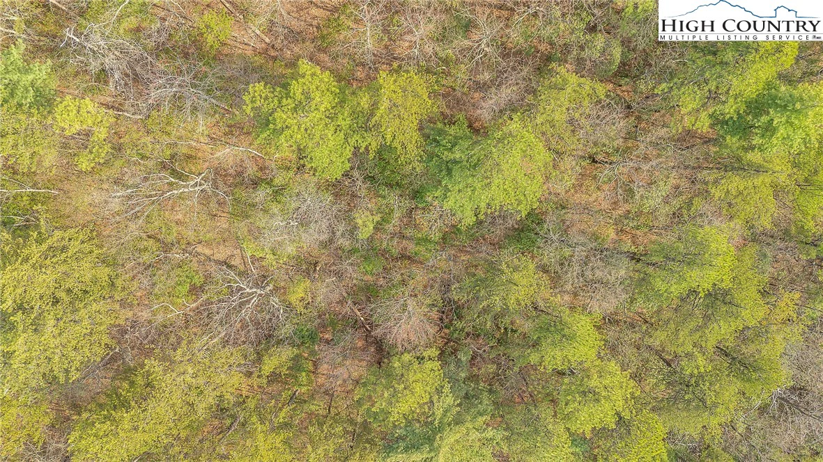 Image number 11 for the current listing