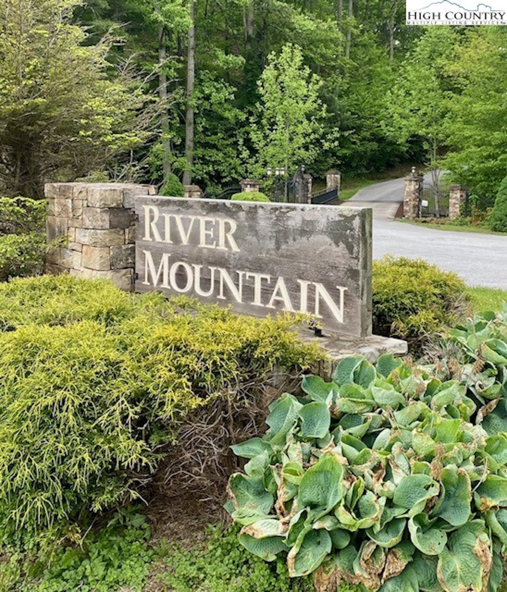Image number 1 for the current listing