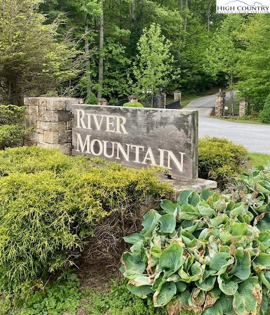 Image number 1 for the current listing