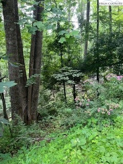 Image number 8 for the current listing