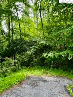Image number 11 for the current listing