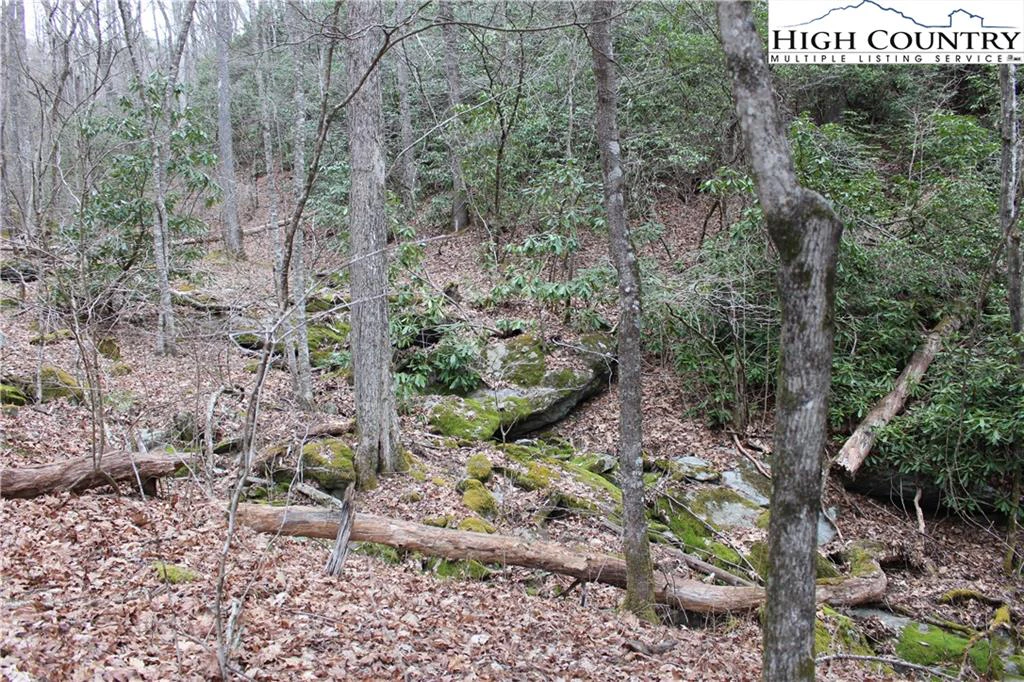 Image number 1 for the current listing