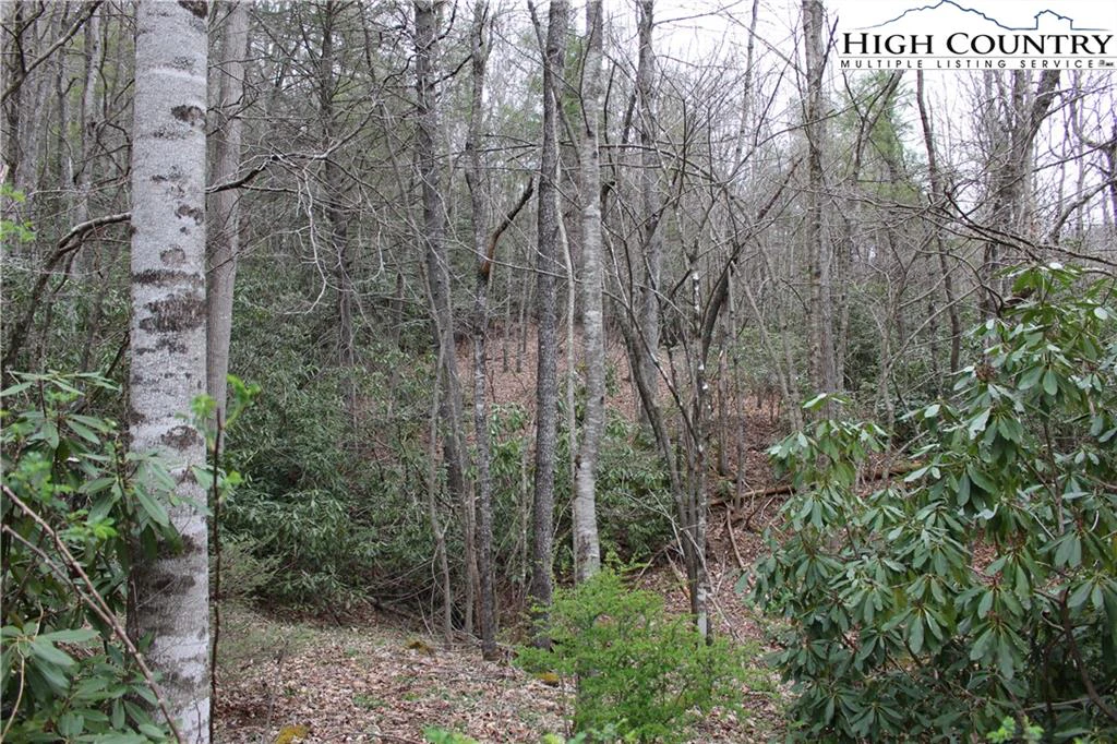 Image number 3 for the current listing
