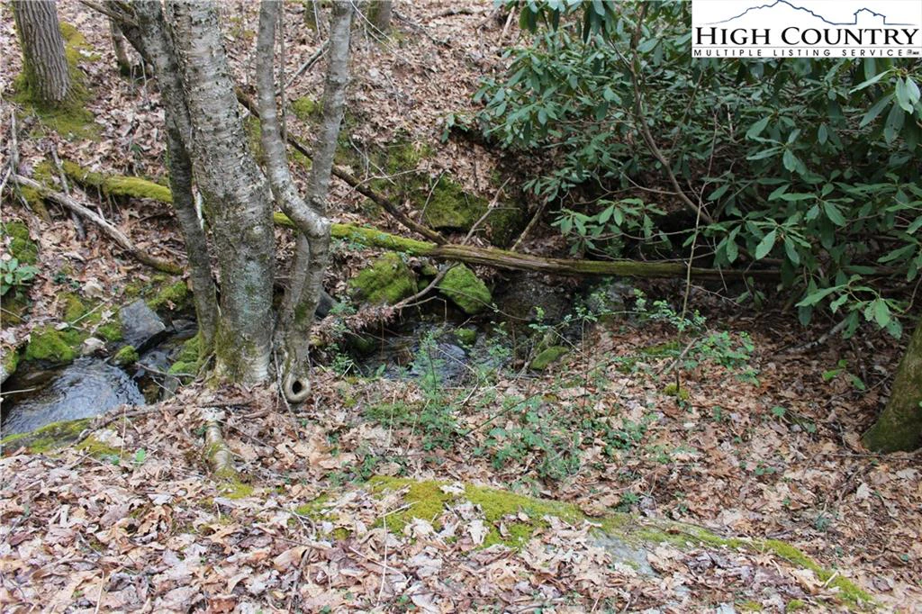 Image number 4 for the current listing