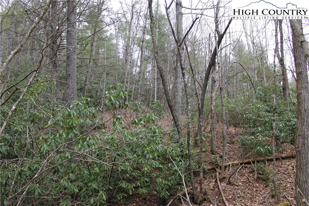 Image number 5 for the current listing