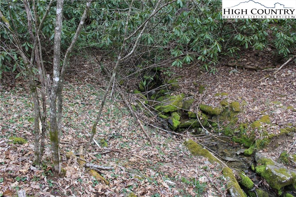Image number 6 for the current listing