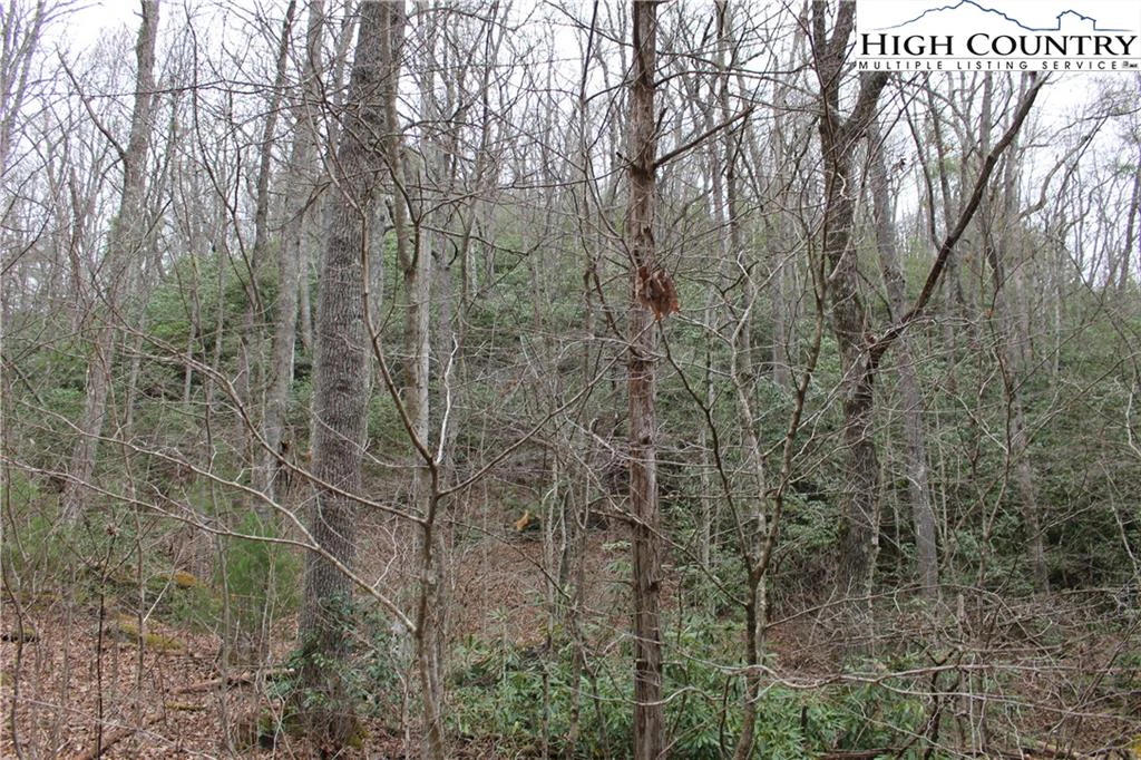 Image number 7 for the current listing