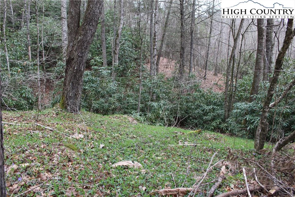 Image number 8 for the current listing
