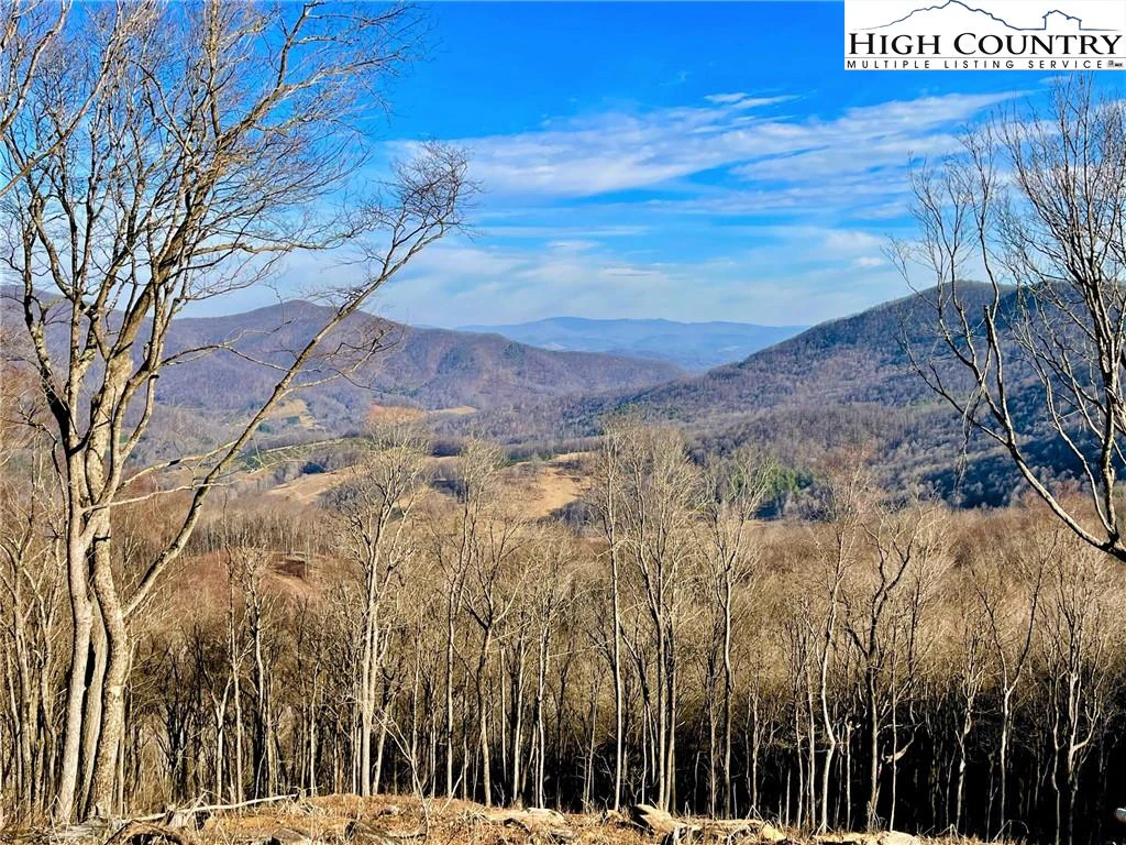 Image number 1 for the current listing