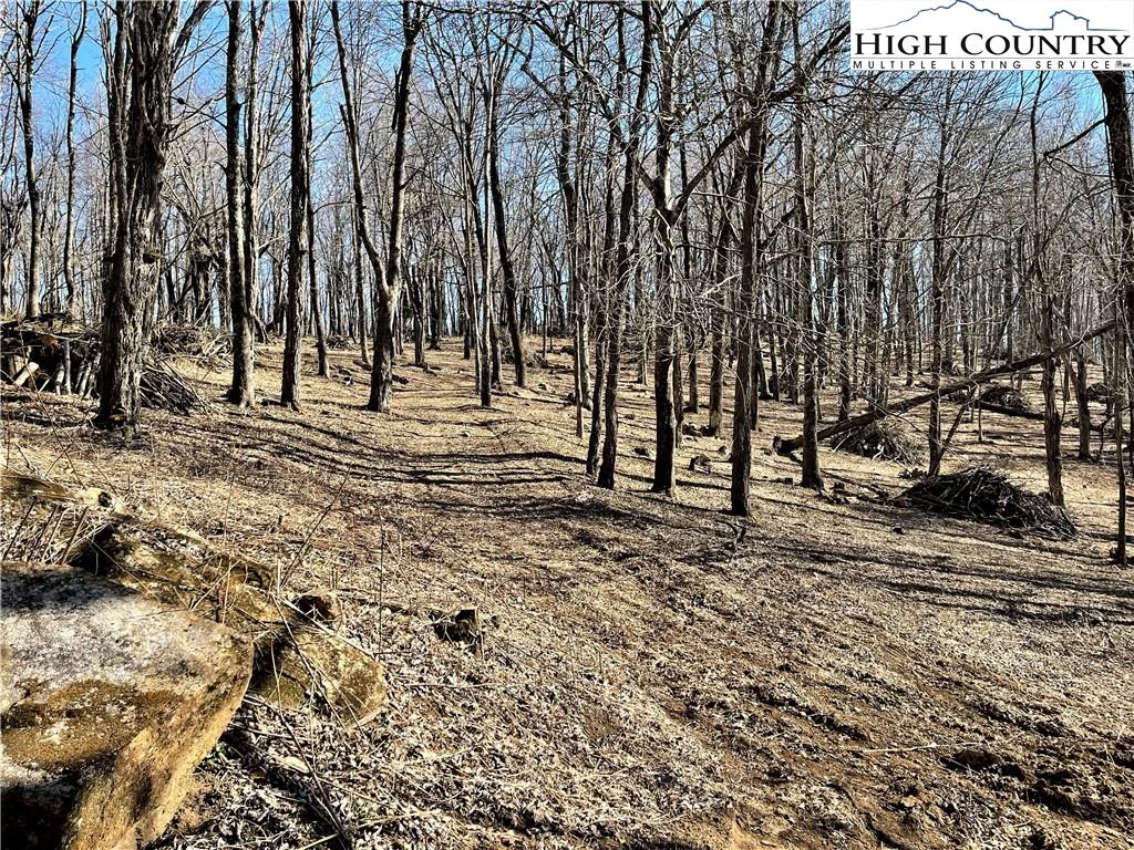 Image number 14 for the current listing