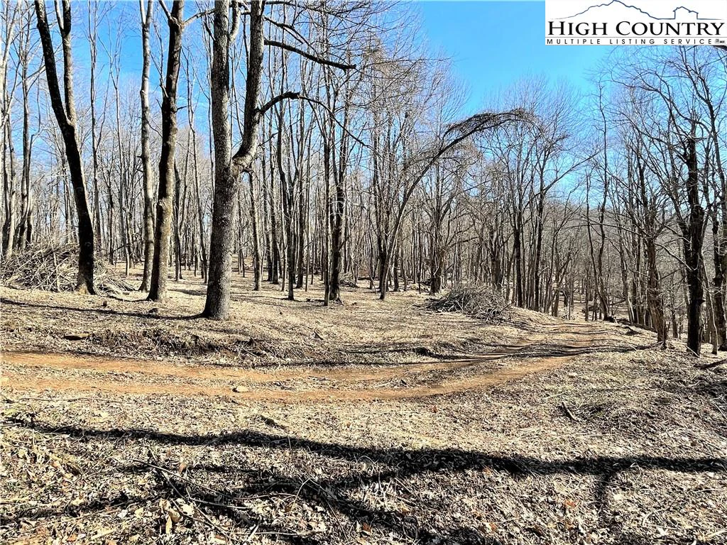 Image number 2 for the current listing