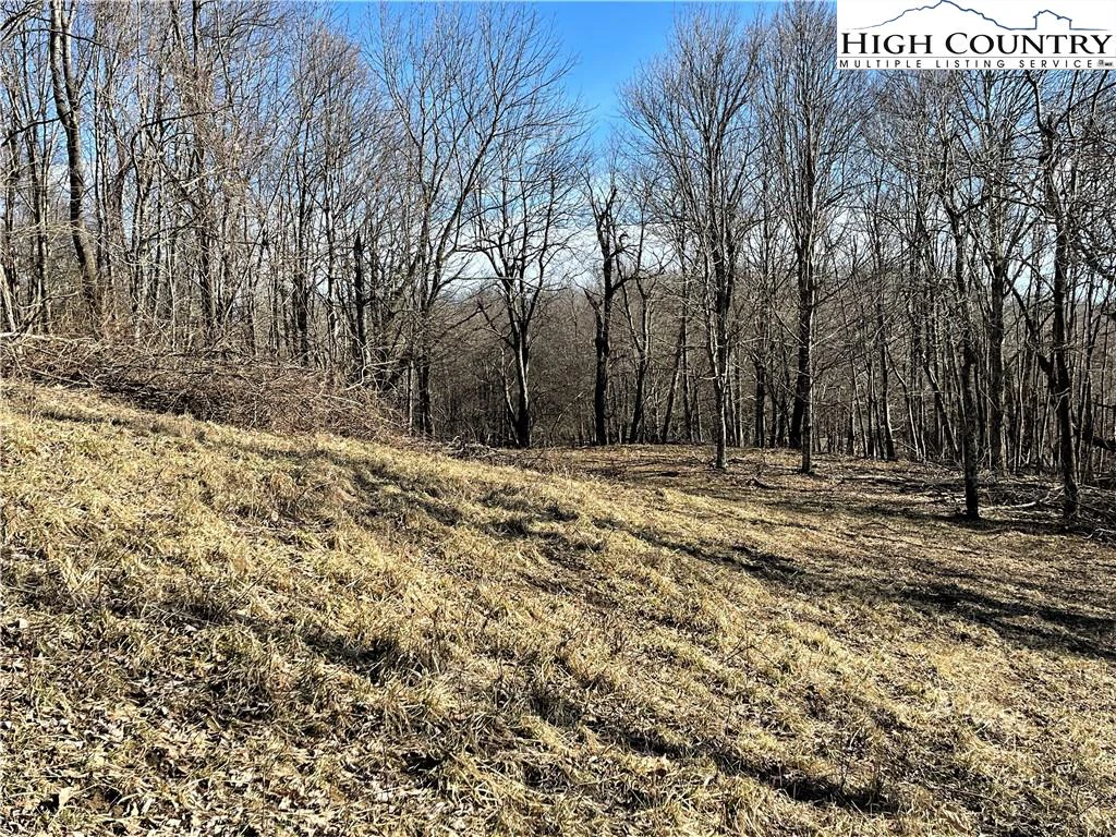 Image number 9 for the current listing