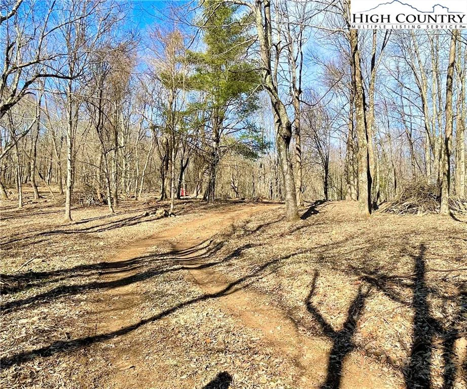 Image number 6 for the current listing