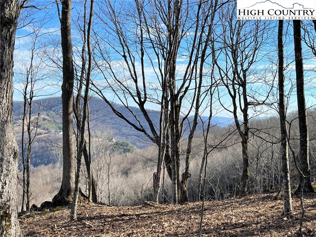 Image number 4 for the current listing