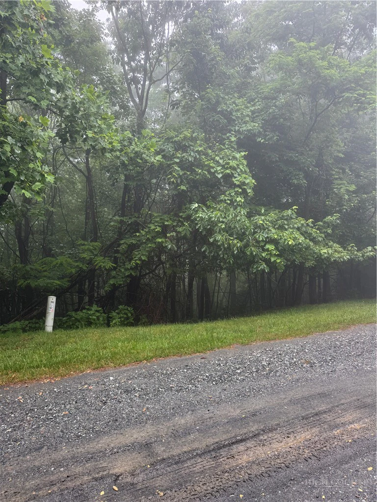 Image number 1 for the current listing
