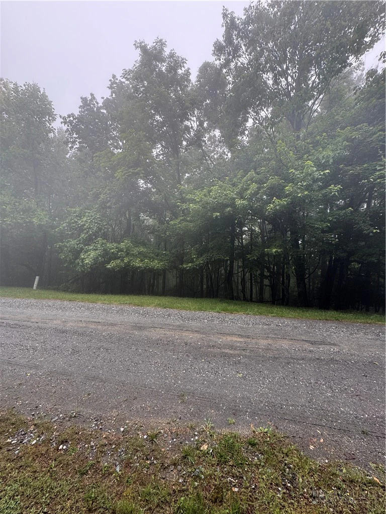 Image number 3 for the current listing