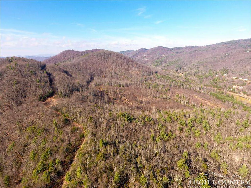 Image number 1 for the current listing