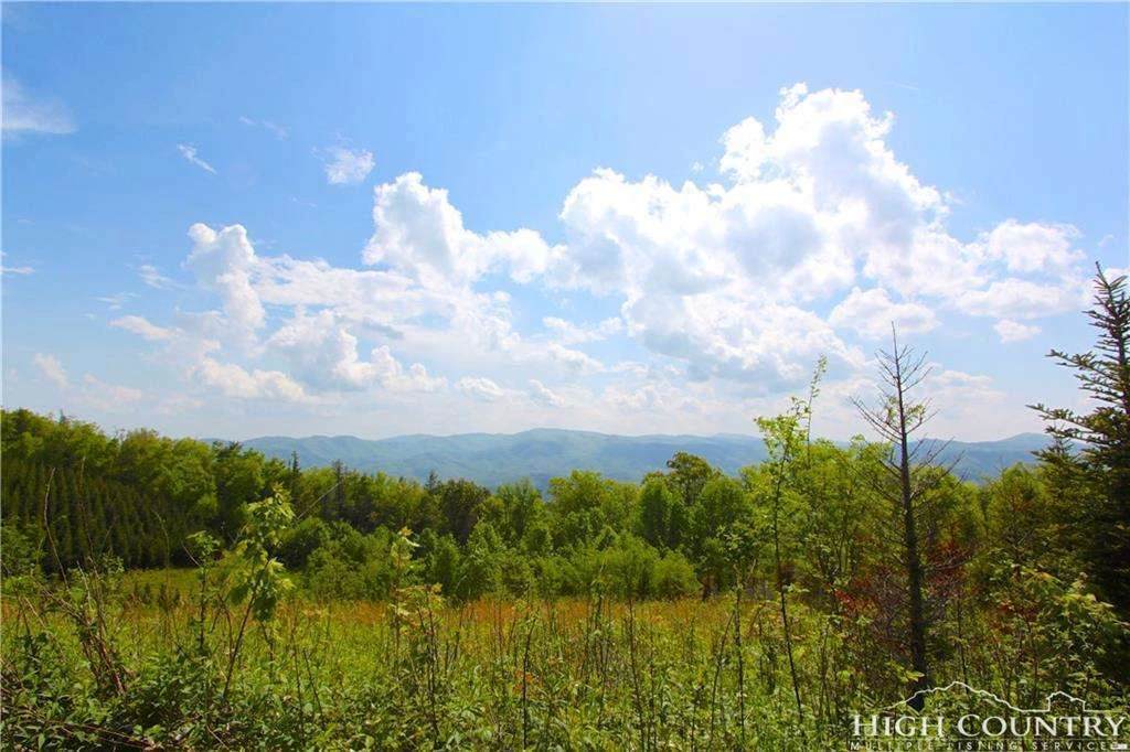 Image number 14 for the current listing