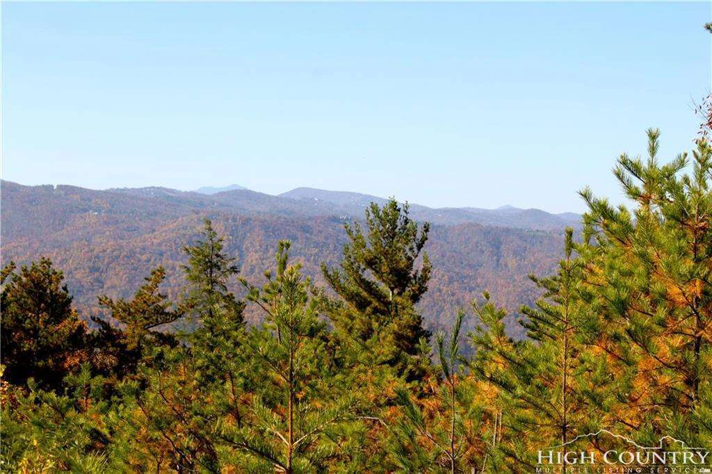 Image number 3 for the current listing