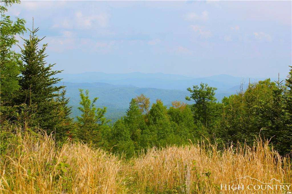 Image number 6 for the current listing
