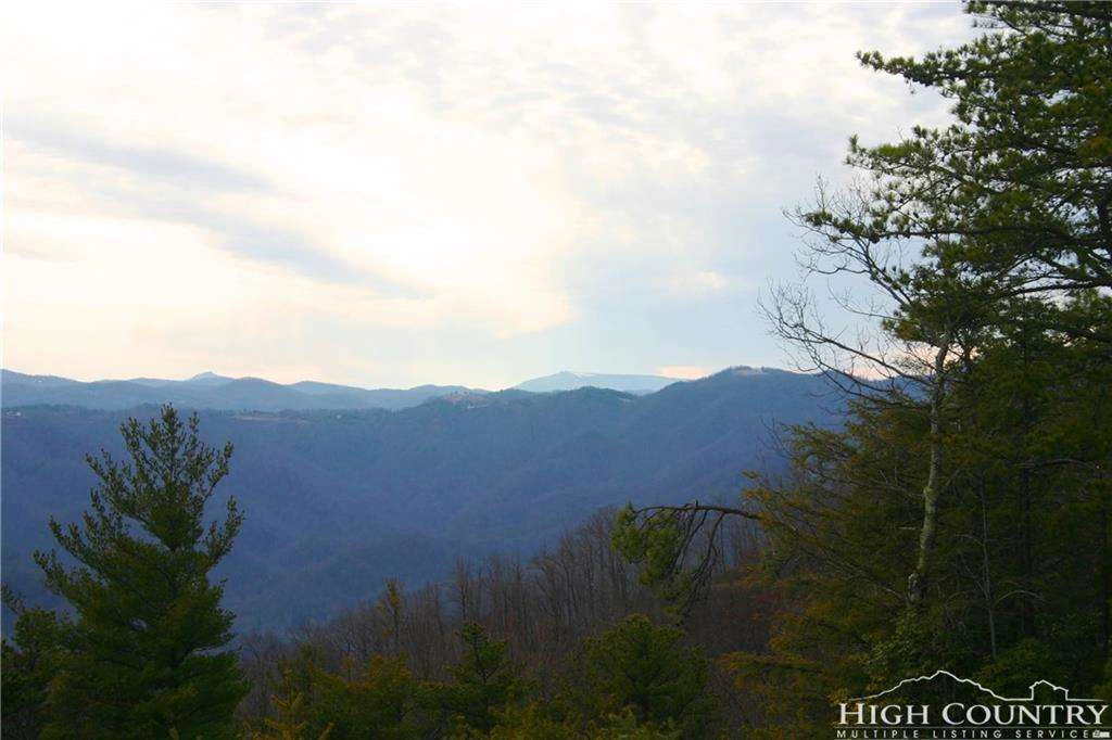 Image number 8 for the current listing