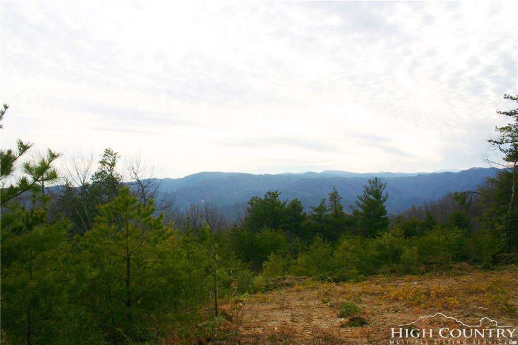 Image number 9 for the current listing
