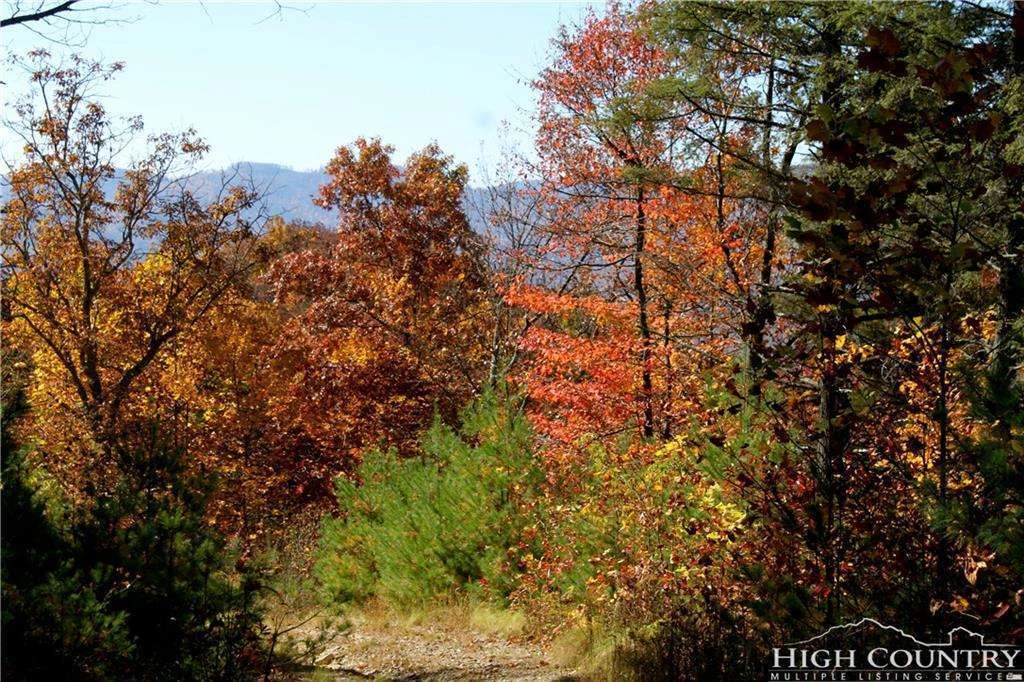 Image number 11 for the current listing