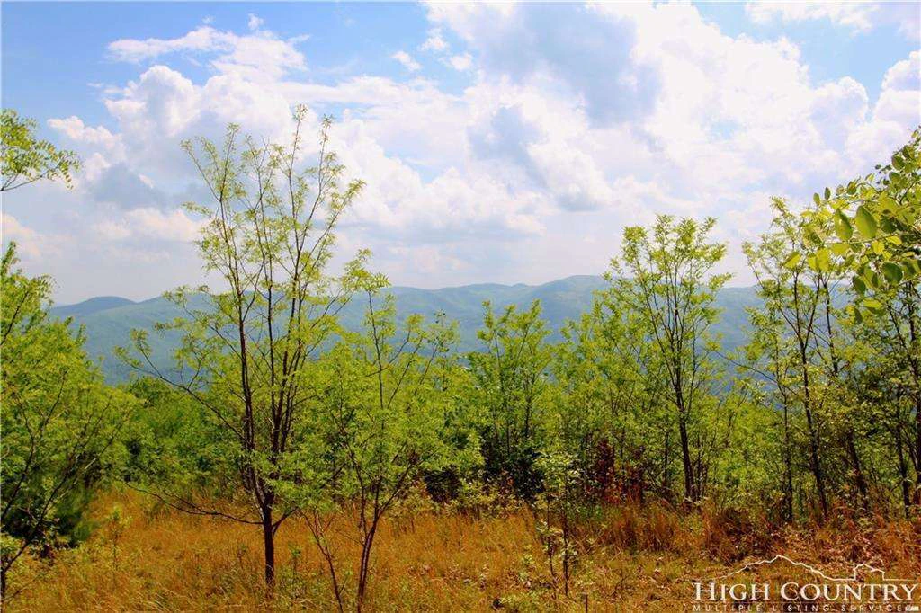 Image number 12 for the current listing