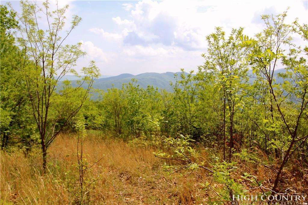 Image number 13 for the current listing