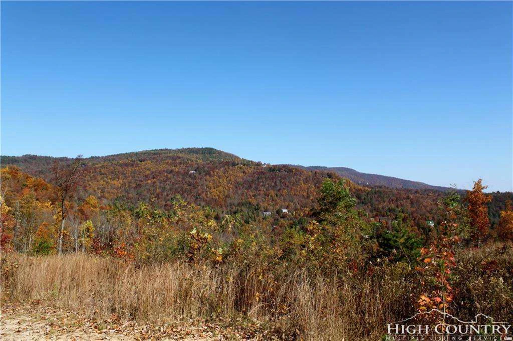 Image number 2 for the current listing