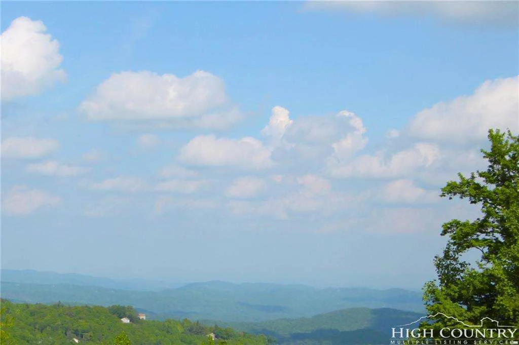 Image number 16 for the current listing