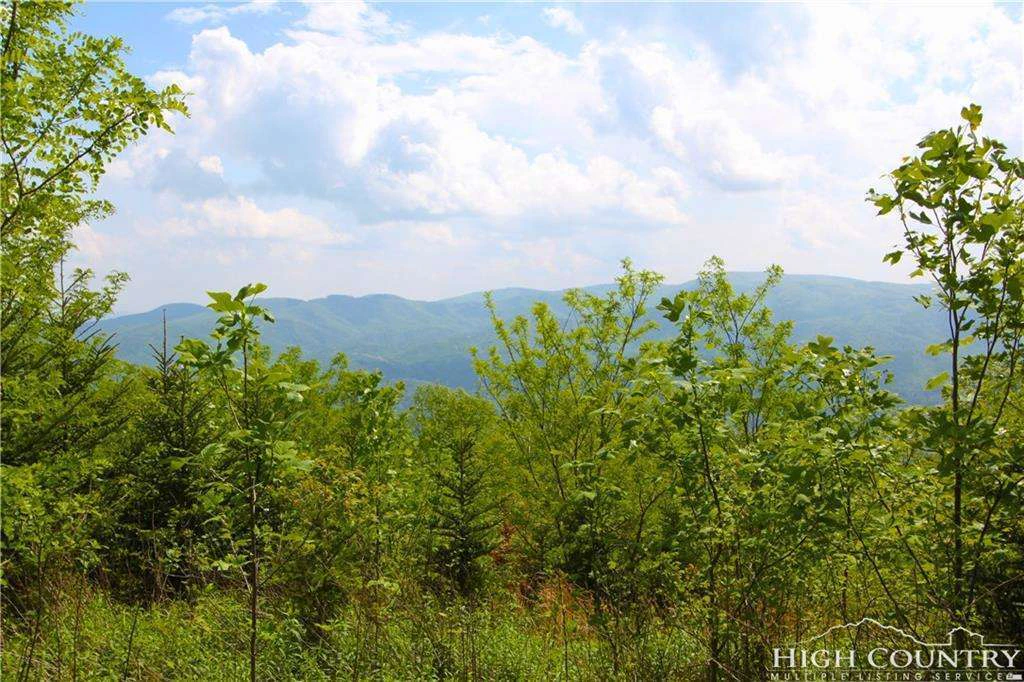 Image number 17 for the current listing