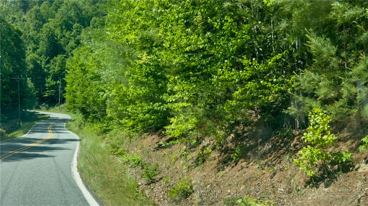 Image number 1 for the current listing