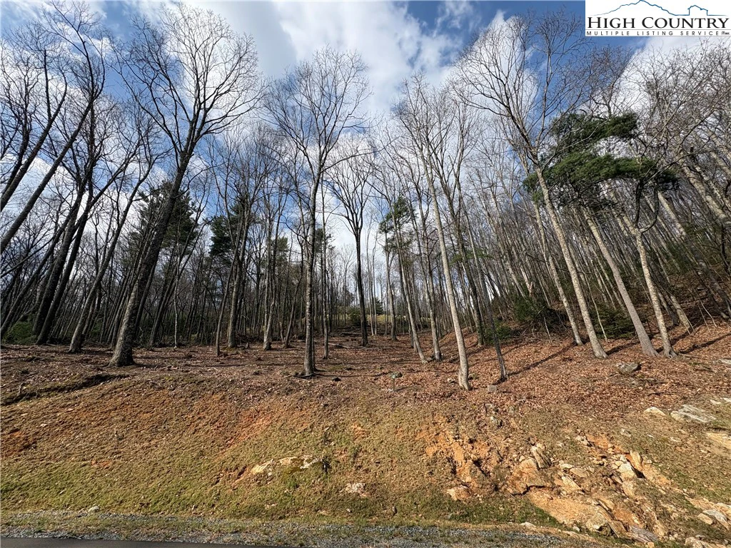 Image number 11 for the current listing