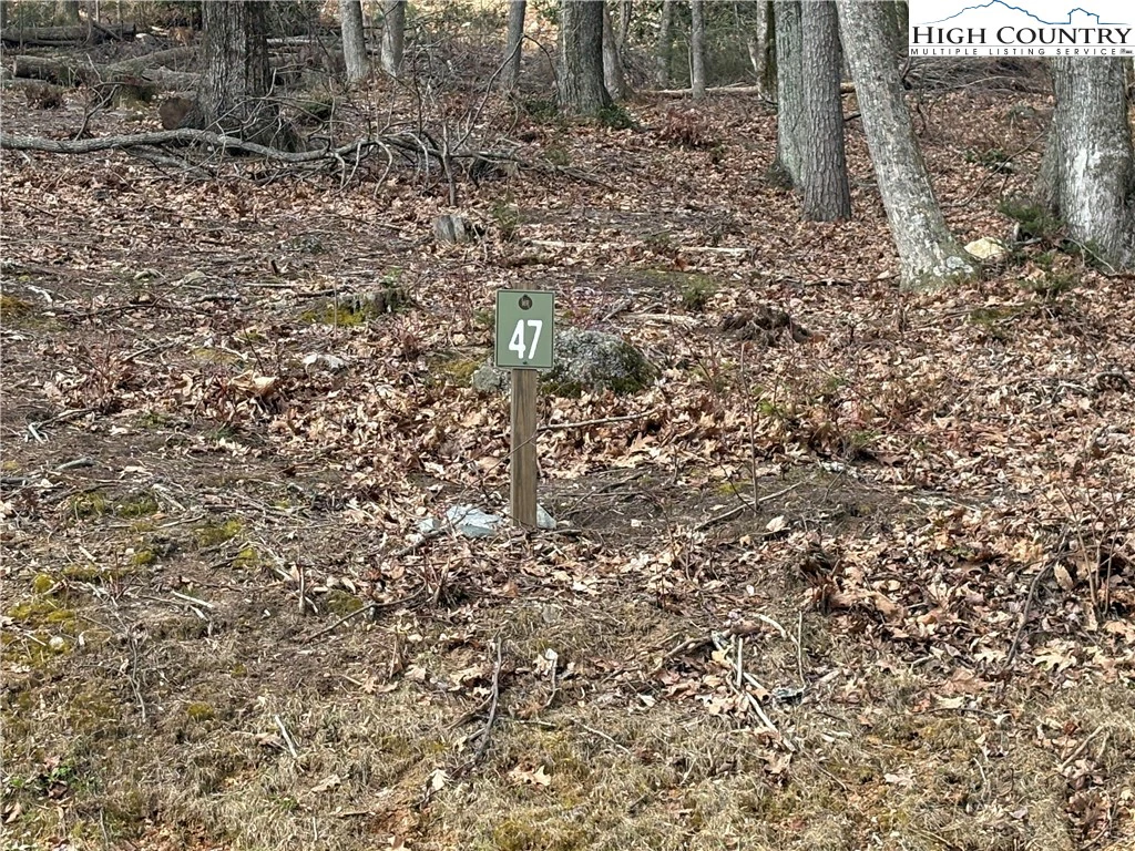 Image number 3 for the current listing