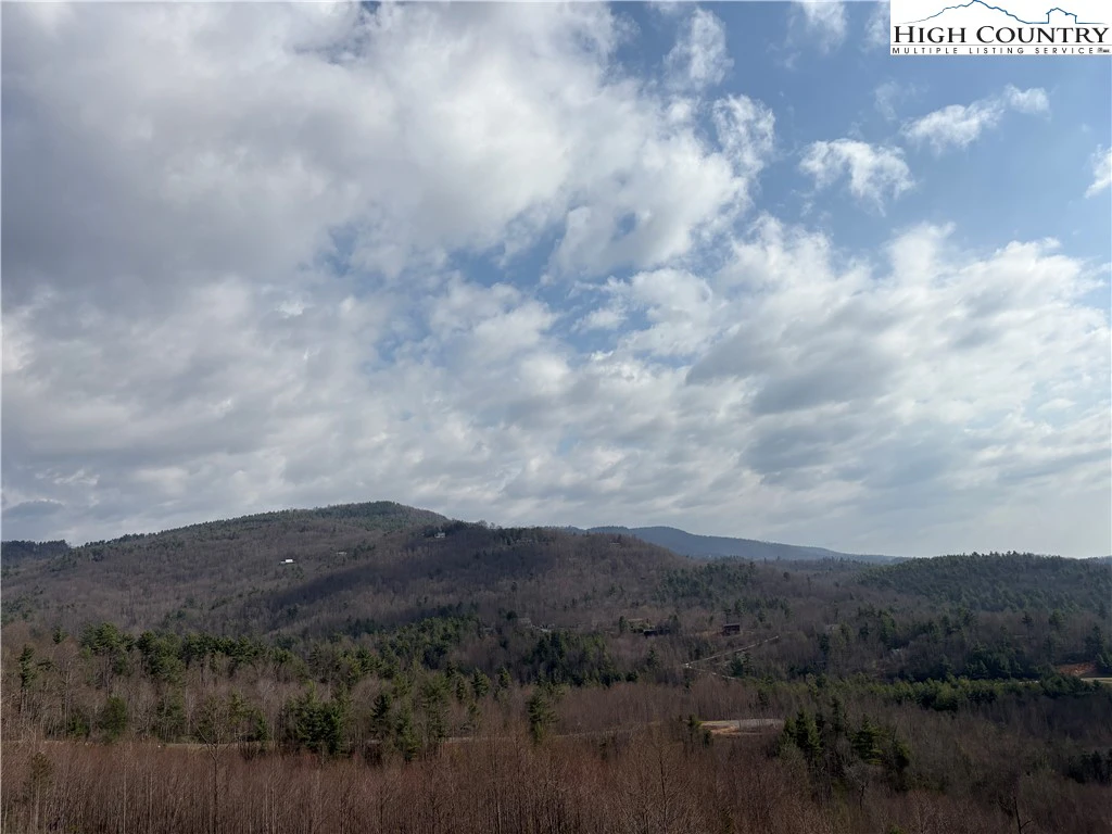 Image number 1 for the current listing